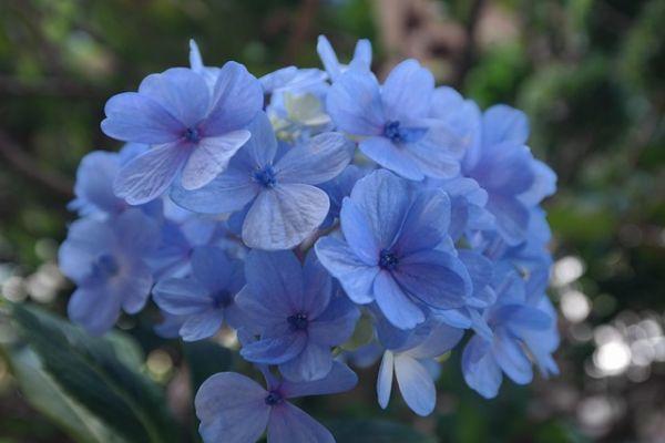 Ormoni sessuali: le differenze tra uomo e donna